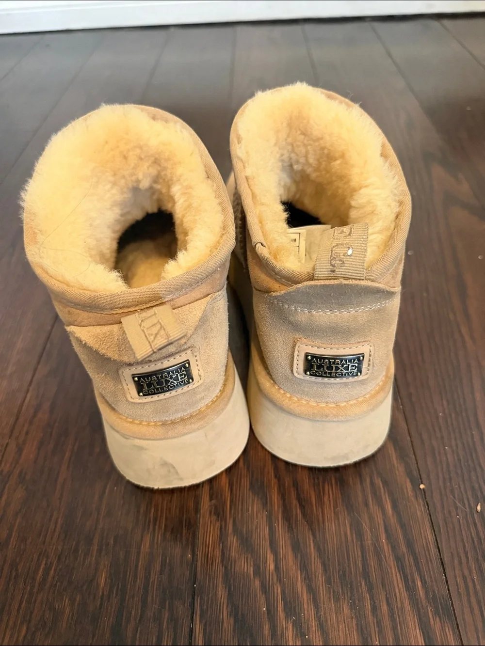 Australia Luxe Collective Tan Suede Shearling-Lined Ankle Booties